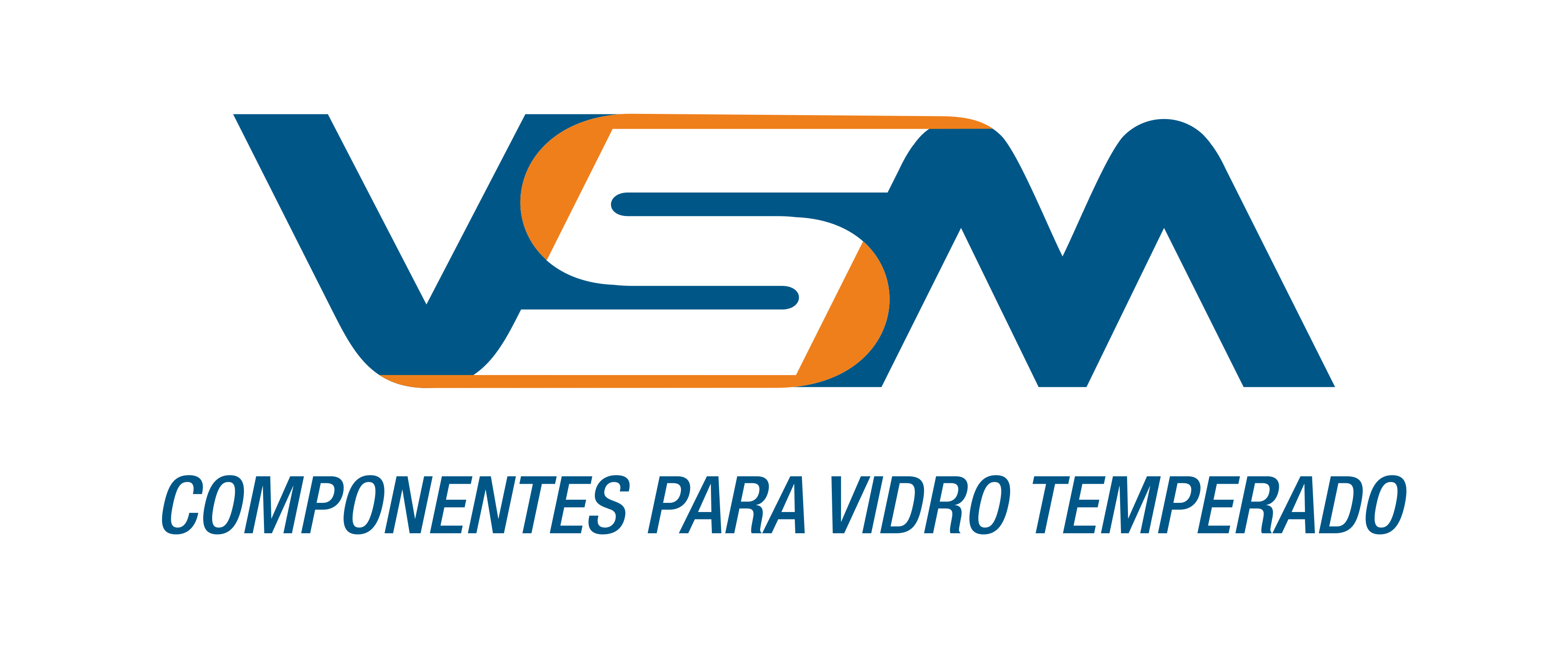 Logo VSM